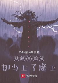 明明是勇者却当上了魔王